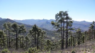 2022-03-GranCan-Mirador_Sargento-Trekking-PM-NN-14.JPG